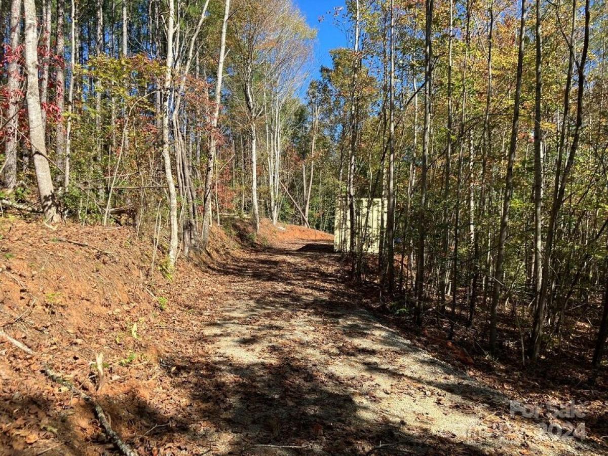 Picture of Residential Land For Sale in Lake Lure, North Carolina, United States