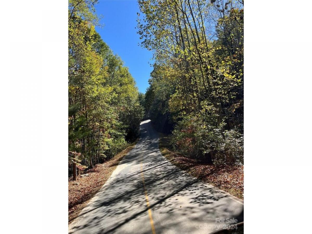 Picture of Residential Land For Sale in Flat Rock, North Carolina, United States