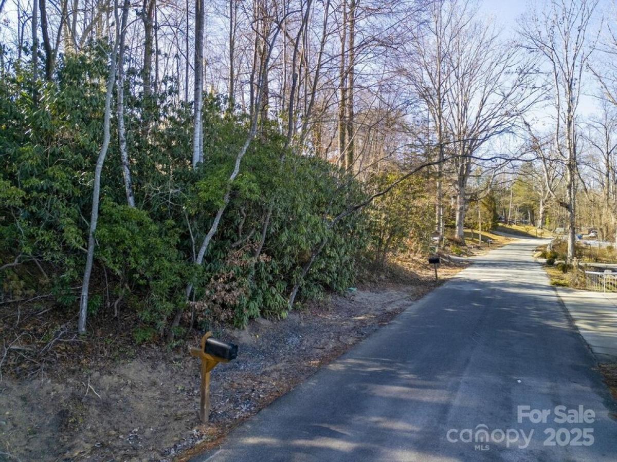 Picture of Residential Land For Sale in Hendersonville, North Carolina, United States