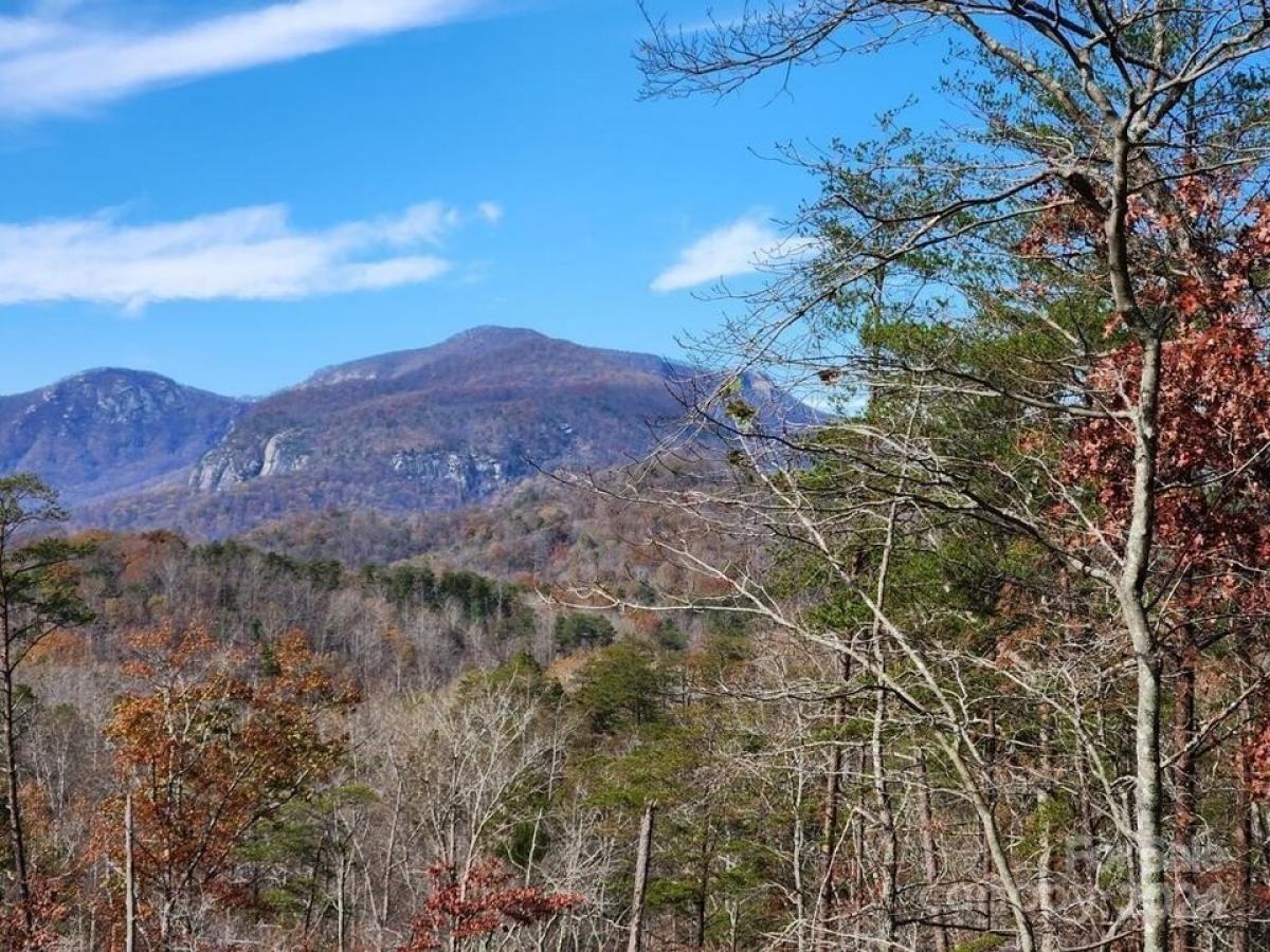 Picture of Residential Land For Sale in Lake Lure, North Carolina, United States