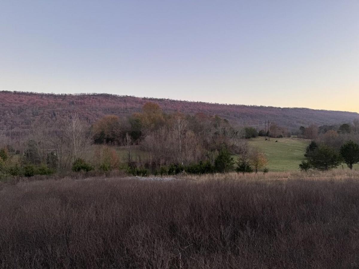 Picture of Residential Land For Sale in Trenton, Georgia, United States