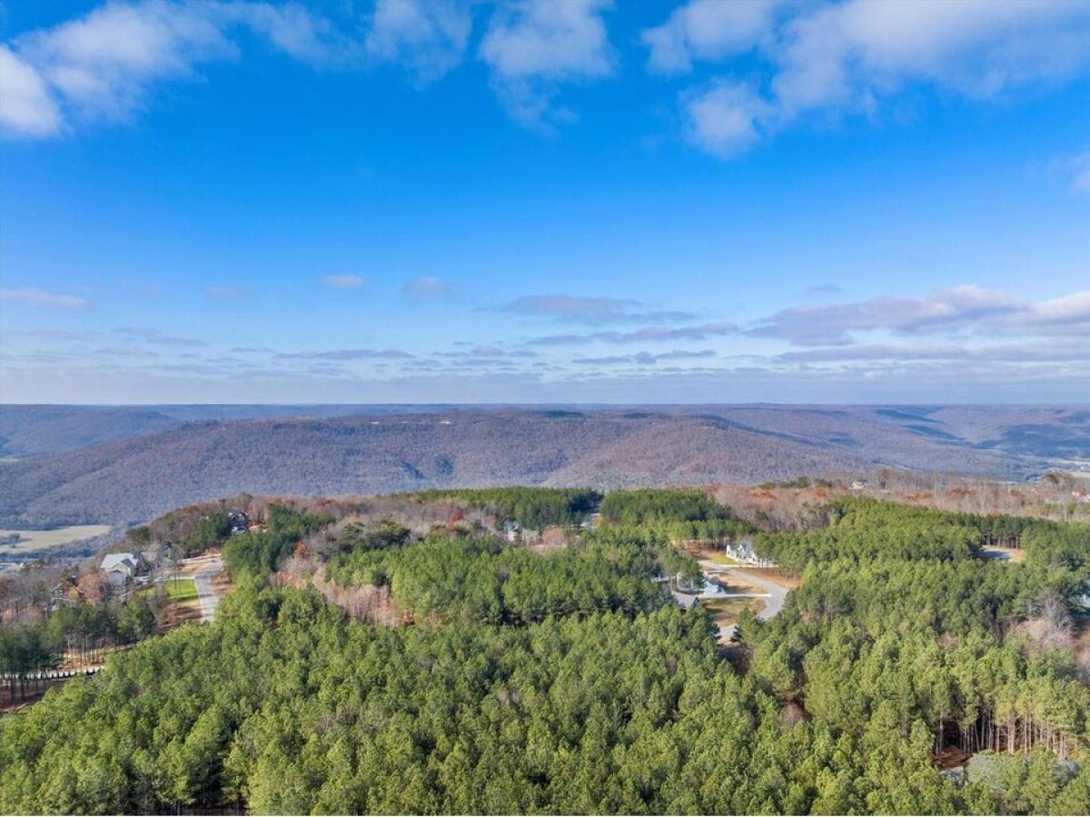 Picture of Residential Land For Sale in Jasper, Tennessee, United States