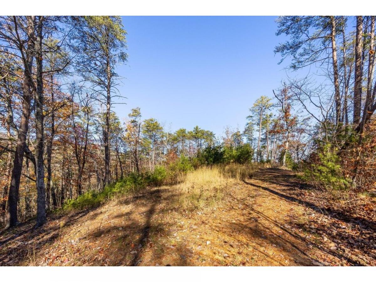 Picture of Residential Land For Sale in Flintstone, Georgia, United States