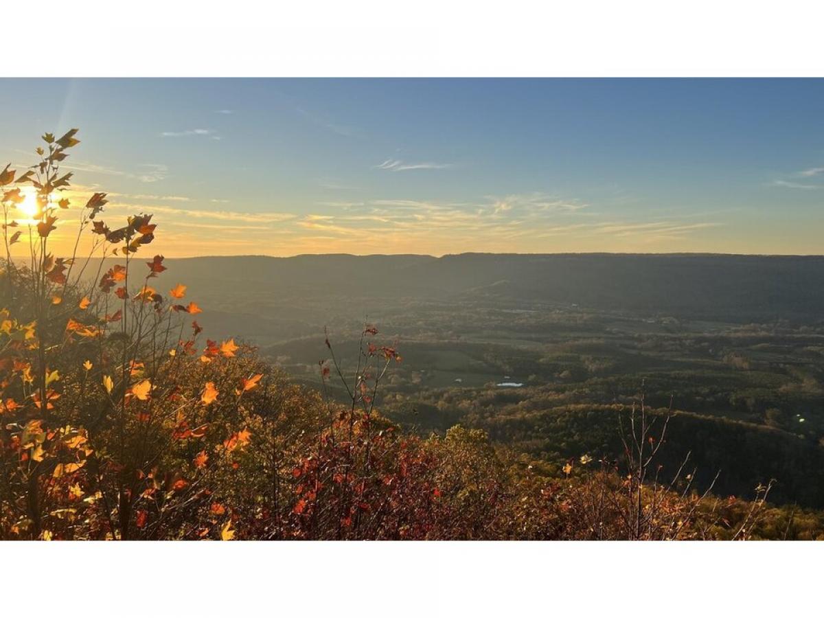 Picture of Residential Land For Sale in Menlo, Georgia, United States