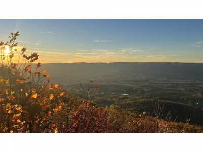 Residential Land For Sale in Menlo, Georgia