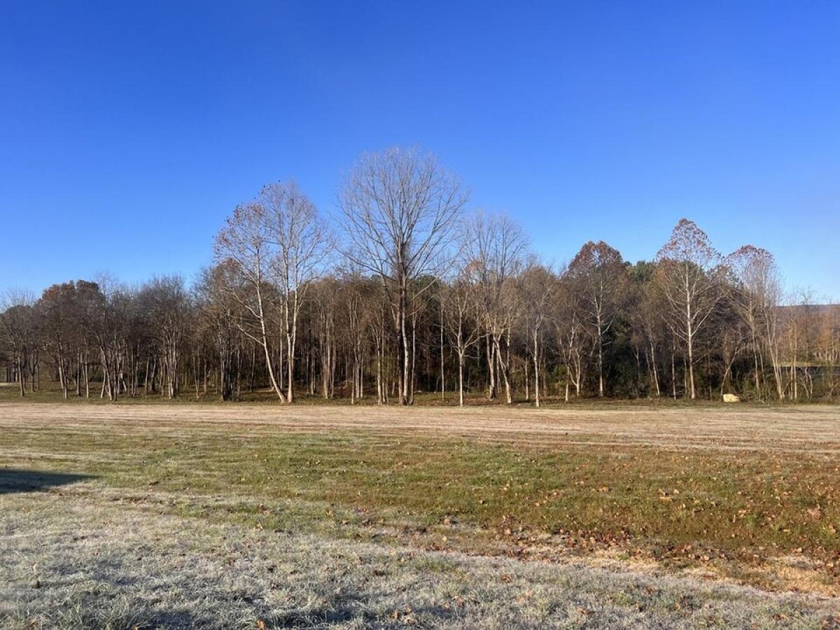 Picture of Residential Land For Sale in Stevenson, Alabama, United States