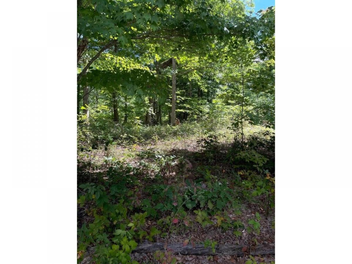 Picture of Residential Land For Sale in Dunlap, Tennessee, United States