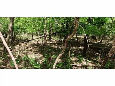 Residential Land For Sale in South Pittsburg, Tennessee