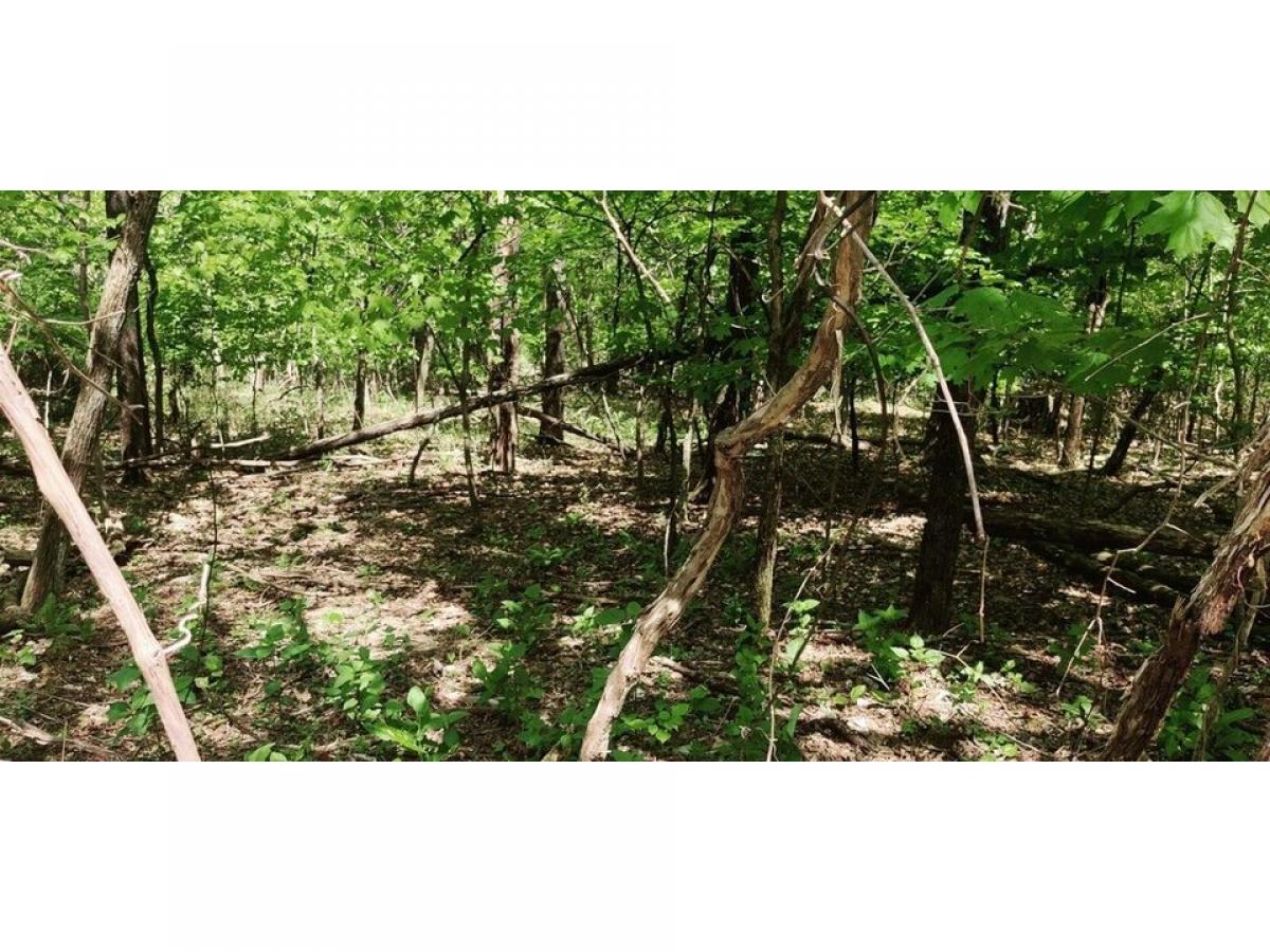 Picture of Residential Land For Sale in South Pittsburg, Tennessee, United States