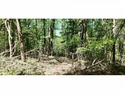 Residential Land For Sale in South Pittsburg, Tennessee