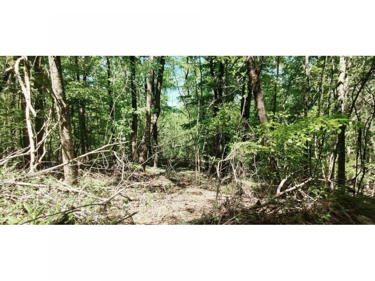 Picture of Residential Land For Sale in South Pittsburg, Tennessee, United States