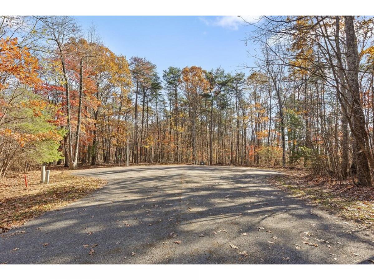 Picture of Residential Land For Sale in Rising Fawn, Georgia, United States