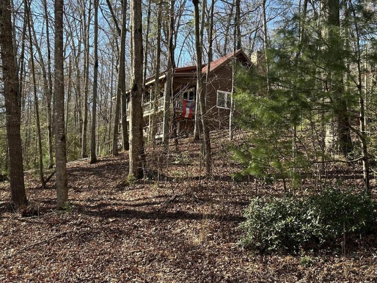 Picture of Home For Sale in Blue Ridge, Georgia, United States