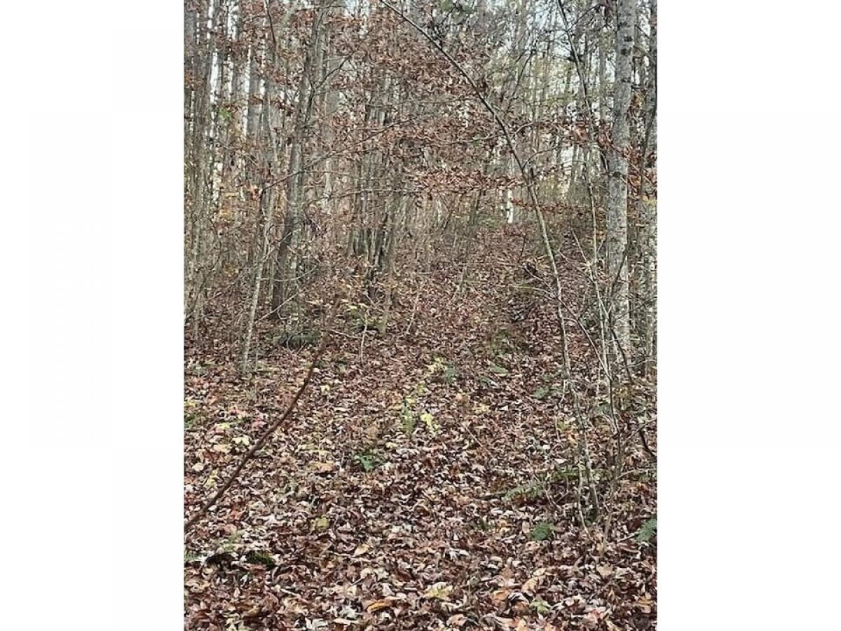 Picture of Residential Land For Sale in Old Fort, Tennessee, United States