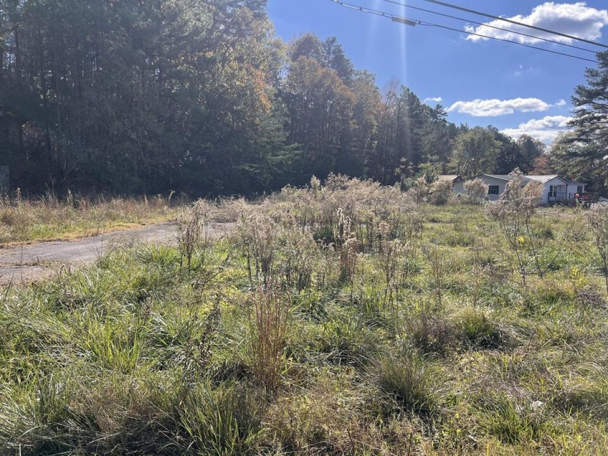 Picture of Residential Land For Sale in Bridgeport, Alabama, United States