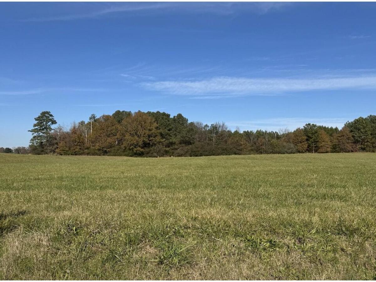 Picture of Home For Sale in Cohutta, Georgia, United States