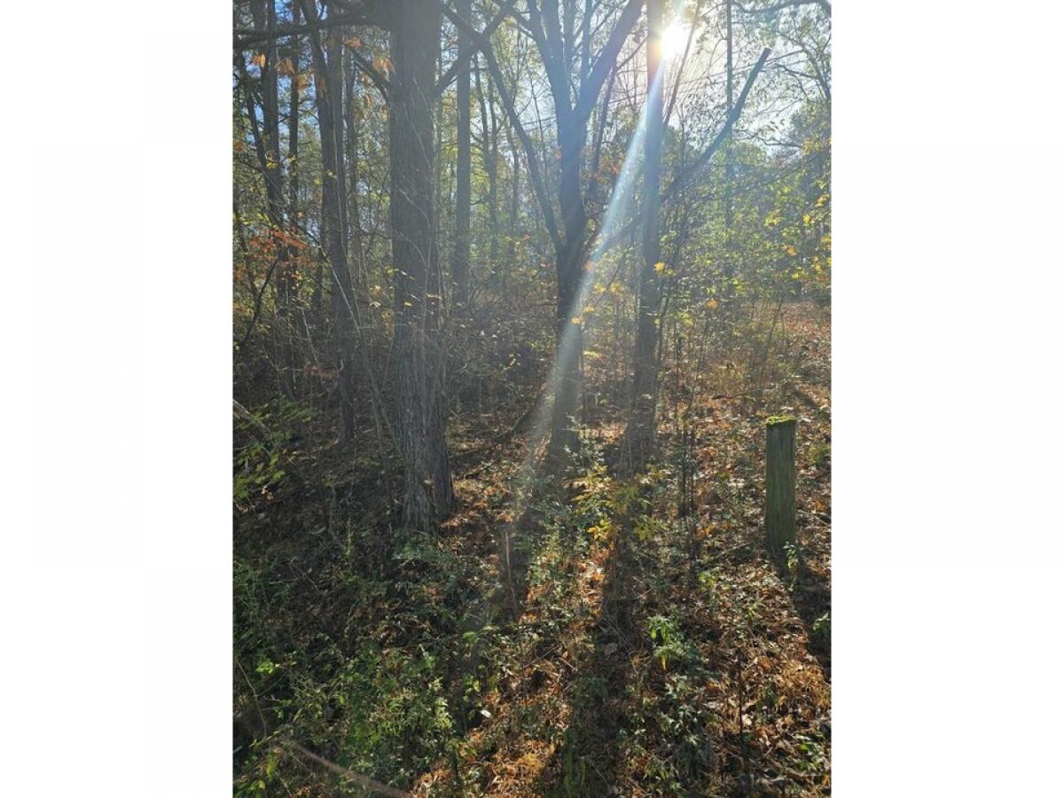 Picture of Residential Land For Sale in Ringgold, Georgia, United States