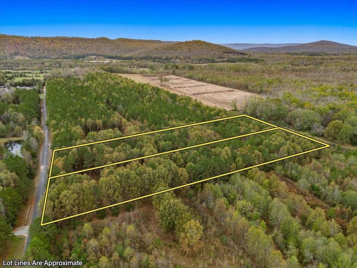 Picture of Residential Land For Sale in Scottsboro, Alabama, United States