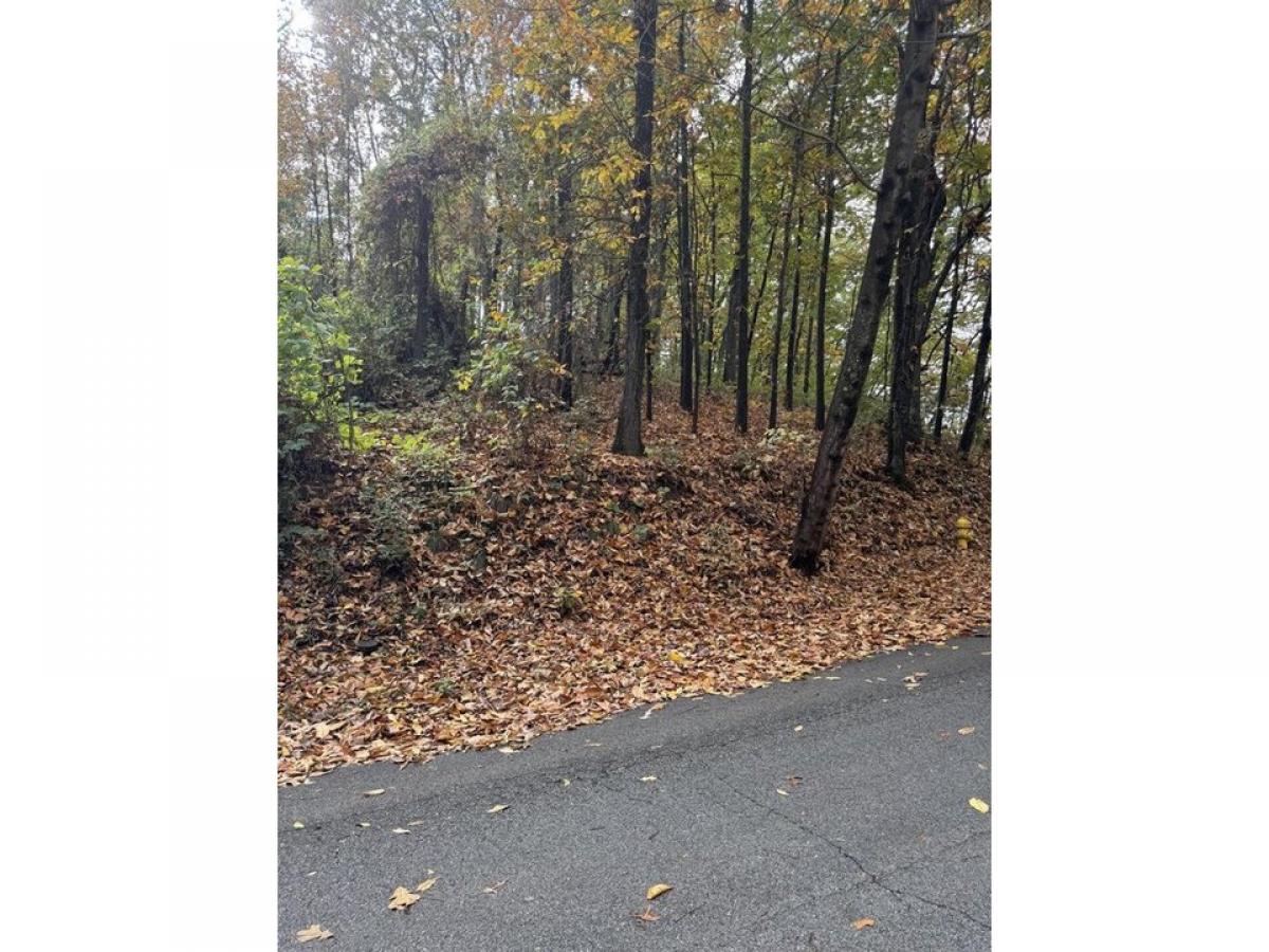 Picture of Residential Land For Sale in Rossville, Georgia, United States