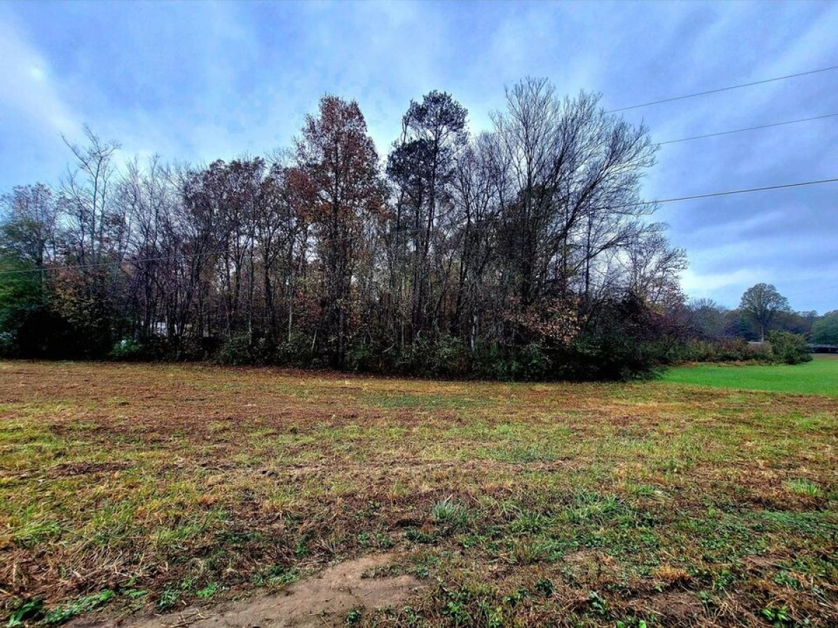 Picture of Residential Land For Sale in Higdon, Alabama, United States