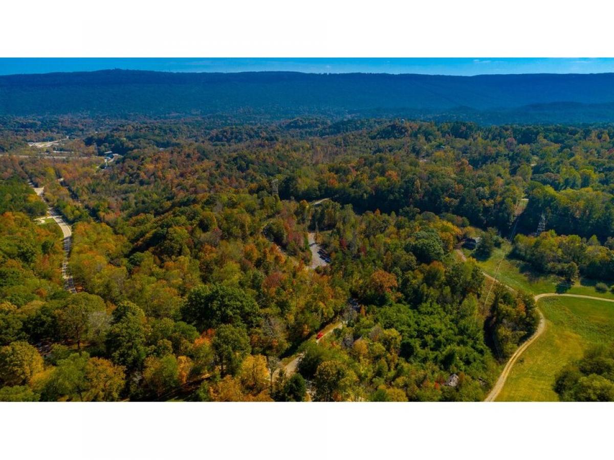 Picture of Residential Land For Sale in Wildwood, Georgia, United States