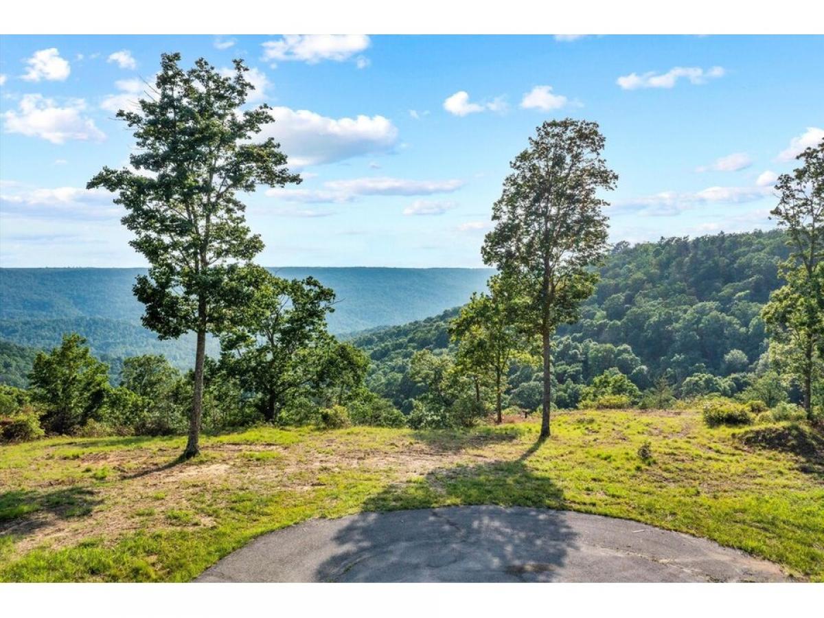 Picture of Residential Land For Sale in Spencer, Tennessee, United States