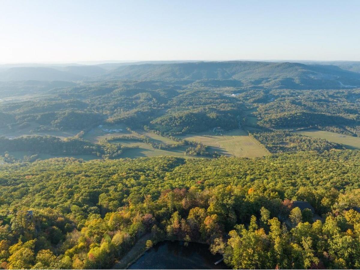 Picture of Residential Land For Sale in Lookout Mountain, Georgia, United States