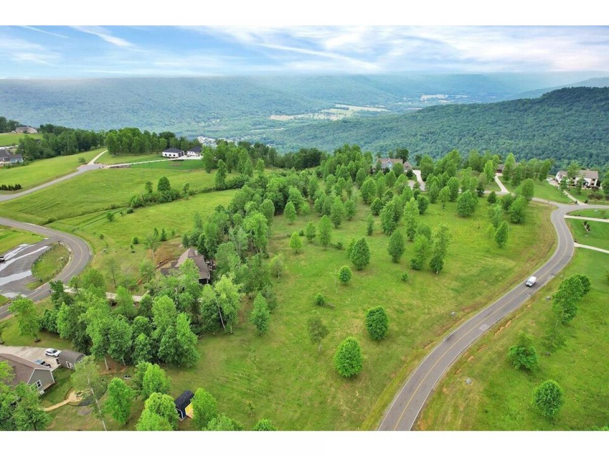 Picture of Residential Land For Sale in Jasper, Tennessee, United States