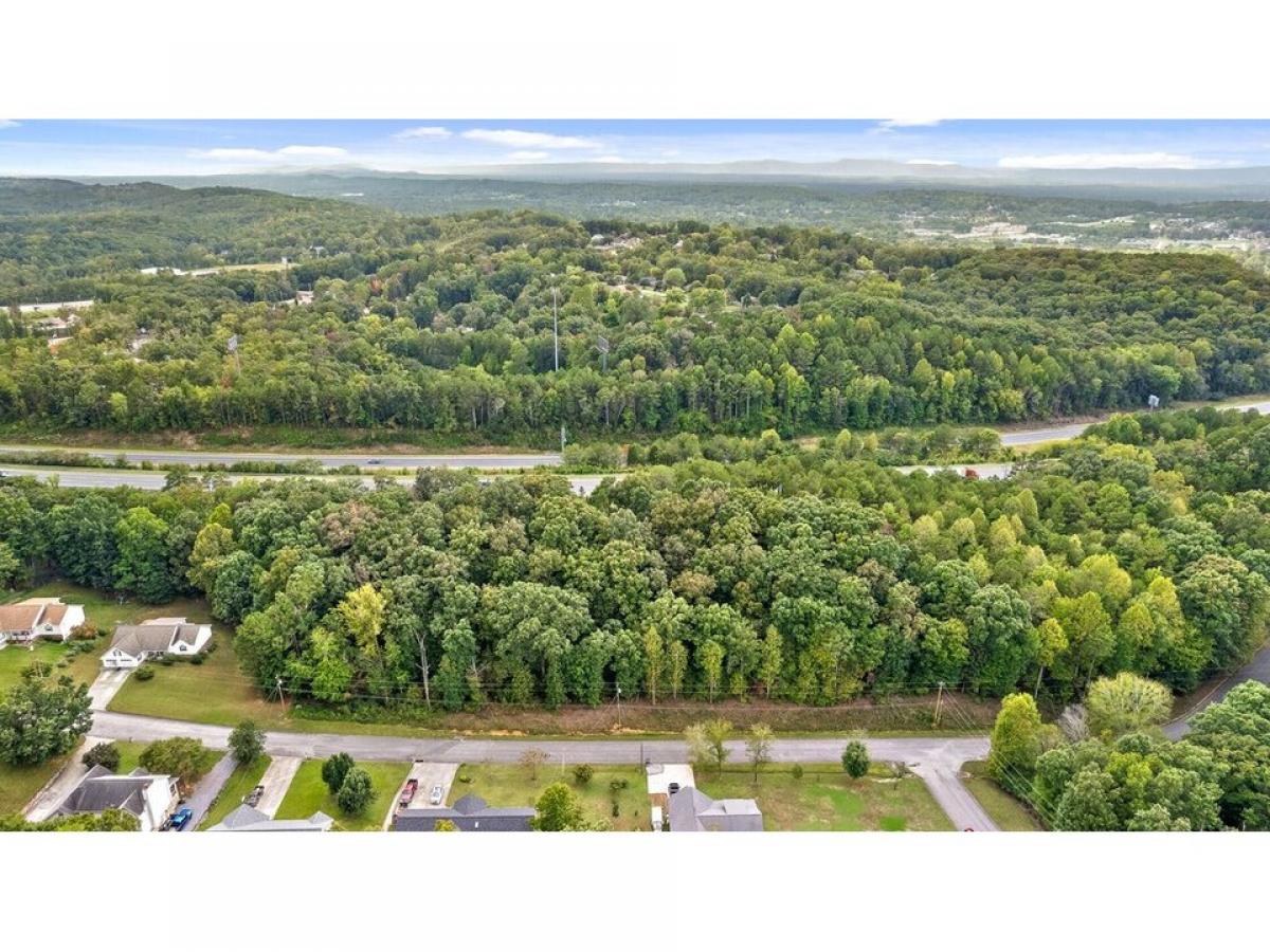 Picture of Residential Land For Sale in Ringgold, Georgia, United States