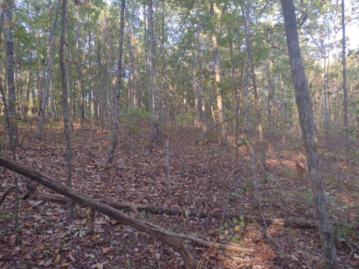 Picture of Residential Land For Sale in Pikeville, Tennessee, United States