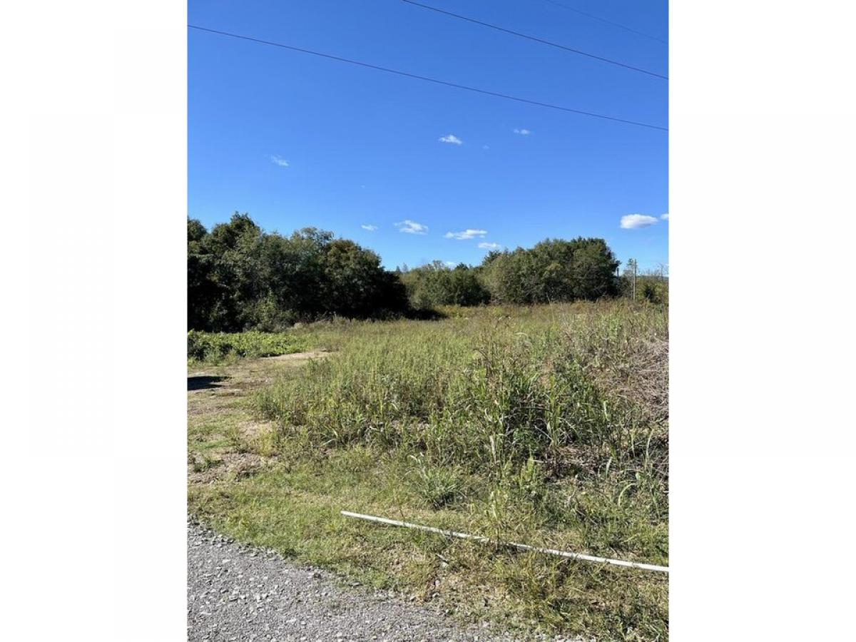 Picture of Residential Land For Sale in Jasper, Tennessee, United States