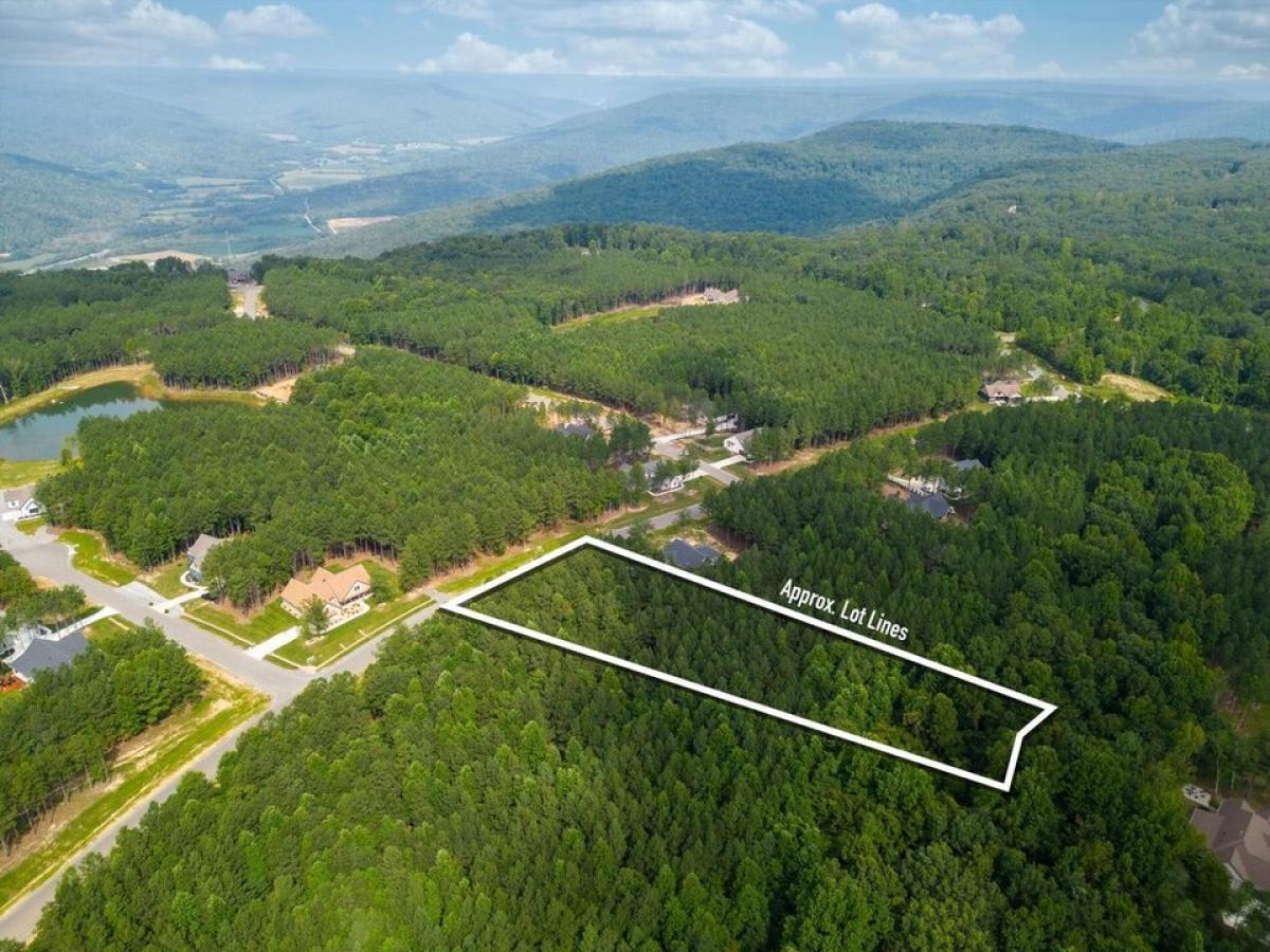 Picture of Residential Land For Sale in Jasper, Tennessee, United States