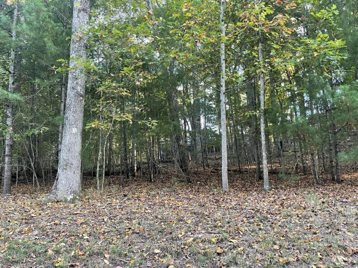 Picture of Residential Land For Sale in Crossville, Tennessee, United States