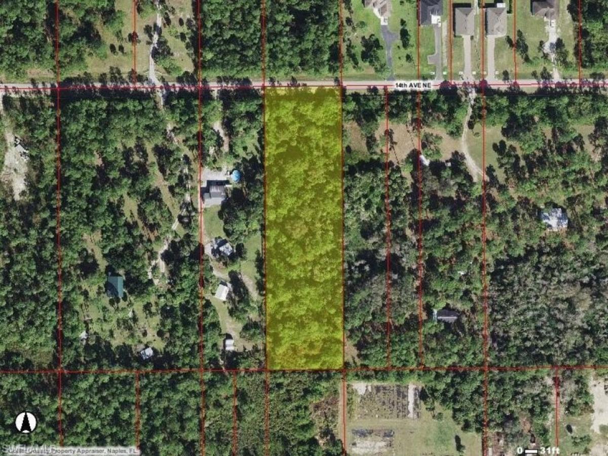 Picture of Residential Land For Sale in Naples, Florida, United States