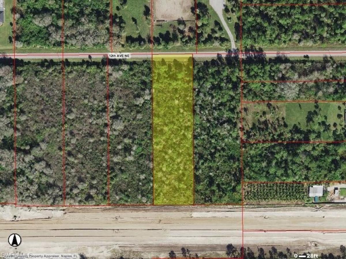 Picture of Residential Land For Sale in Naples, Florida, United States