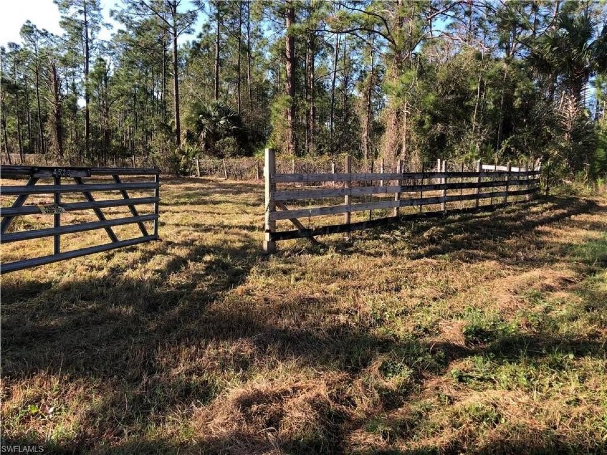 Picture of Residential Land For Sale in Naples, Florida, United States