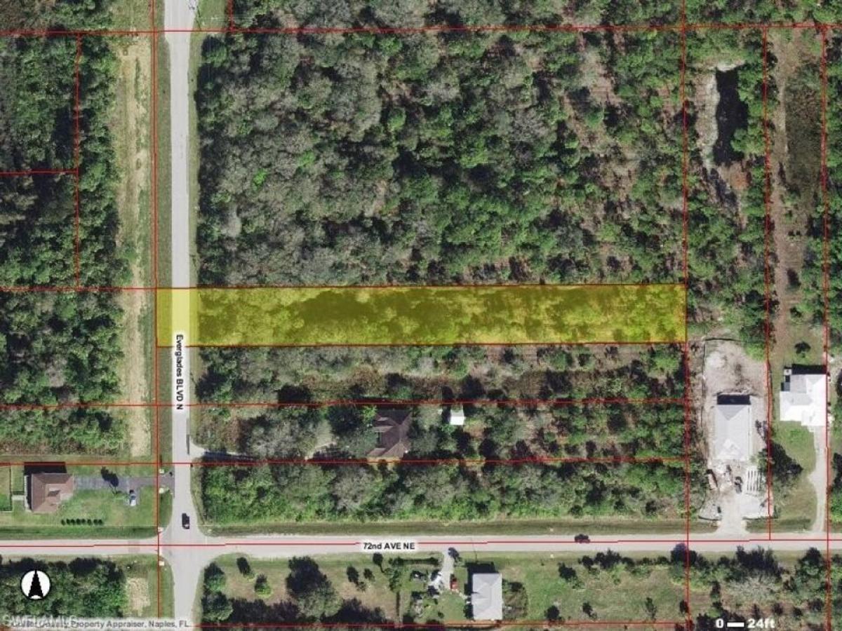 Picture of Residential Land For Sale in Naples, Florida, United States