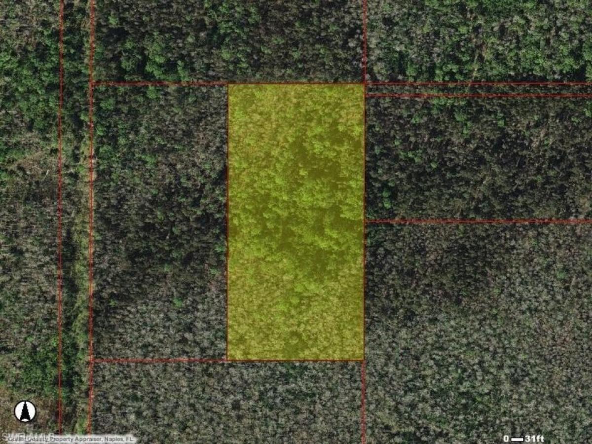 Picture of Residential Land For Sale in Naples, Florida, United States