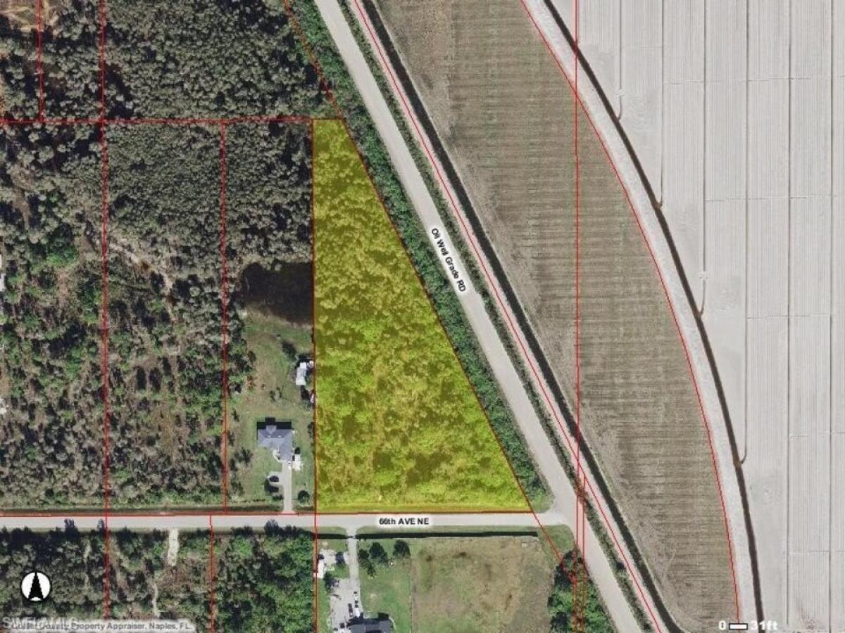 Picture of Residential Land For Sale in Naples, Florida, United States