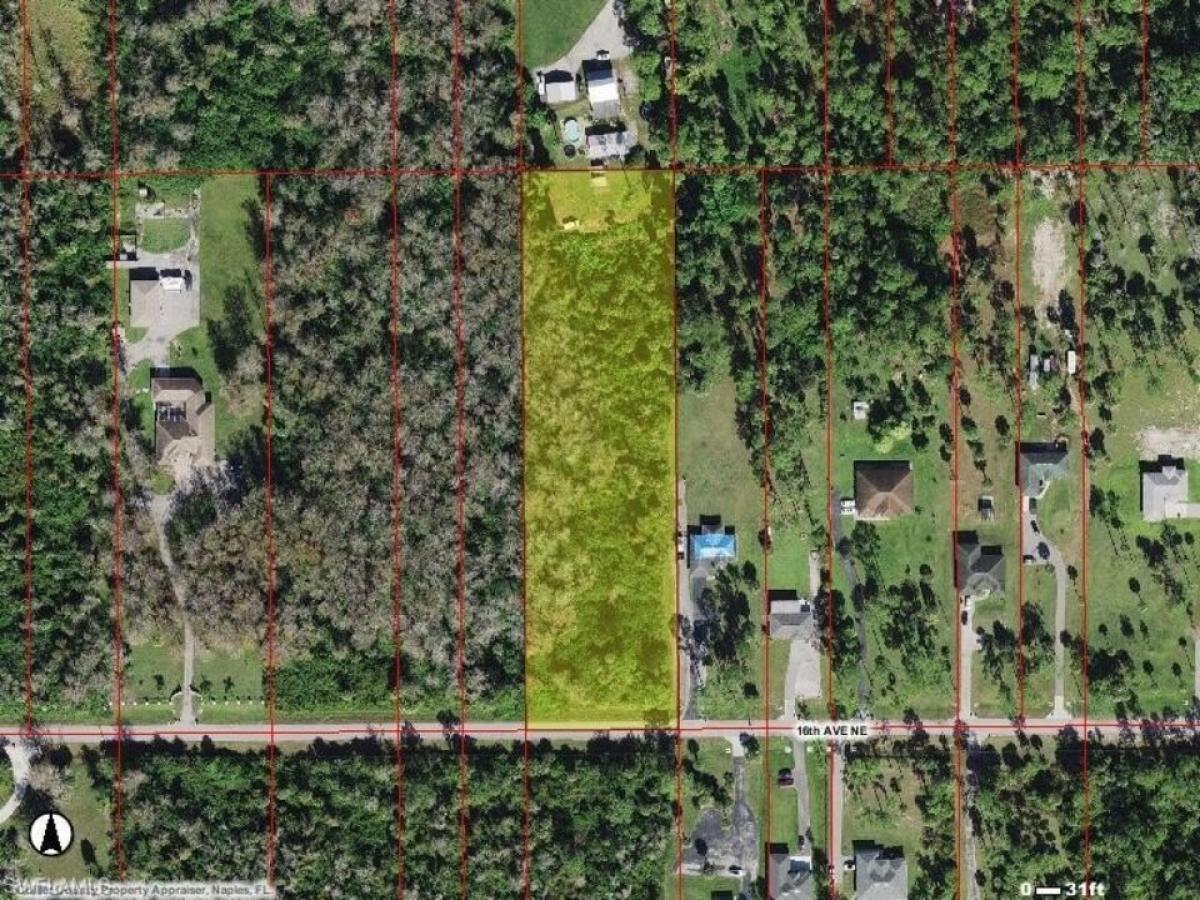 Picture of Residential Land For Sale in Naples, Florida, United States