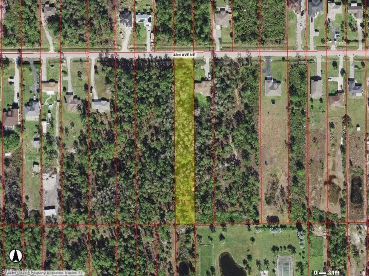 Picture of Residential Land For Sale in Naples, Florida, United States