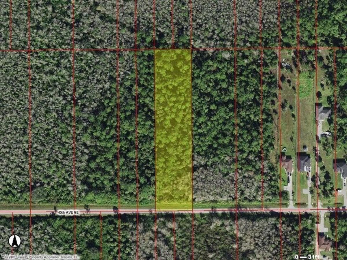 Picture of Residential Land For Sale in Naples, Florida, United States