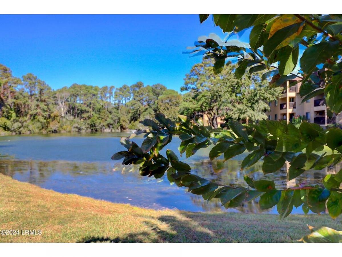 Picture of Home For Sale in Hilton Head Island, South Carolina, United States