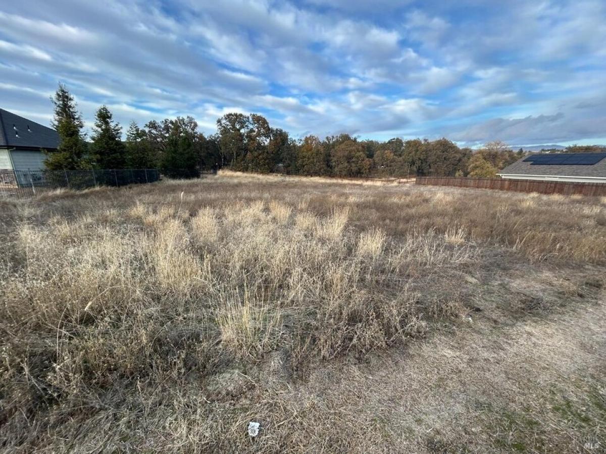 Picture of Residential Land For Sale in Lakeport, California, United States