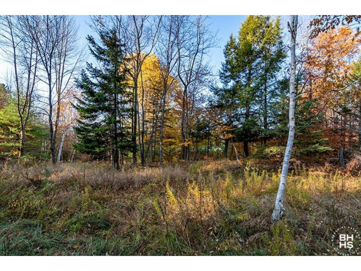 Picture of Residential Land For Sale in Saranac Lake, New York, United States