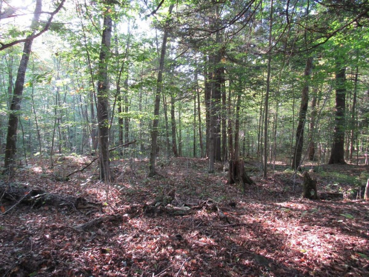 Picture of Residential Land For Sale in Old Forge, New York, United States