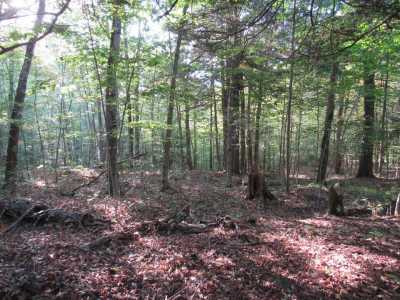 Residential Land For Sale in Old Forge, New York