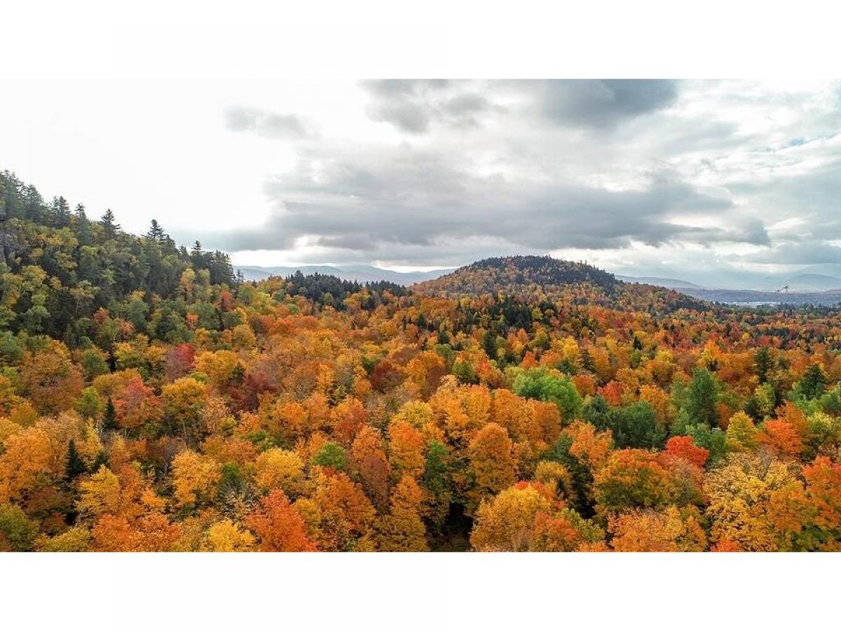 Picture of Residential Land For Sale in Lake Placid, New York, United States