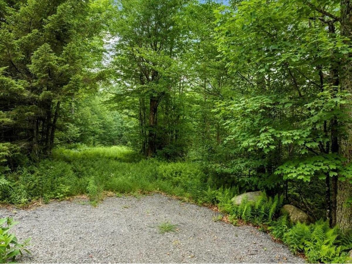 Picture of Residential Land For Sale in Thendara, New York, United States