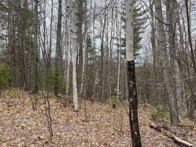 Residential Land For Sale in Loon Lake, New York